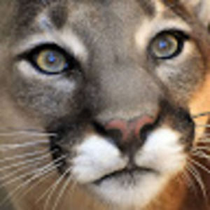 Meet your Posher, Kimlynn